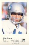 Jim Zorn